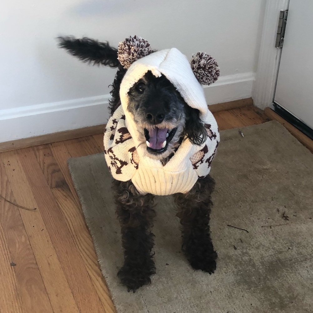 Meet your Posher, Louise